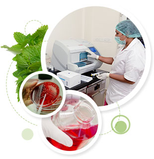 Microbiology Laboratory - Care Keralam